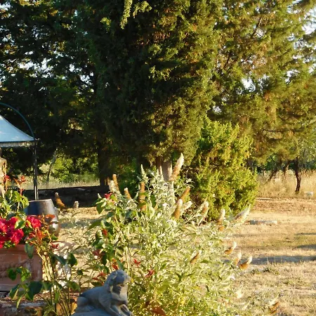 La Ghianda Del Mommo * Barberino di Val dʼElsa