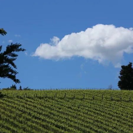 La Ghianda Del Mommo Bed & Breakfast Barberino di Val dʼElsa
