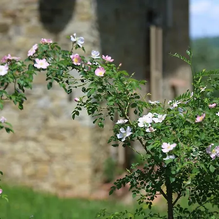 Bed & Breakfast La Ghianda Del Mommo Barberino di Val dʼElsa